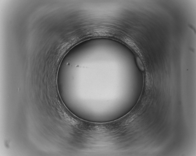 X0000102030481200807251354