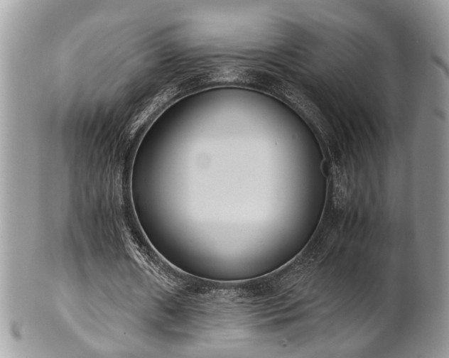 X0000102030482200807251354