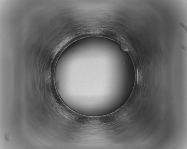 X0000102030483200807251354