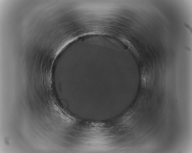 X0000102030484200807251354