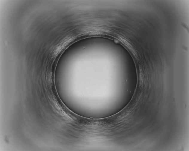 X0000102030485200807251354