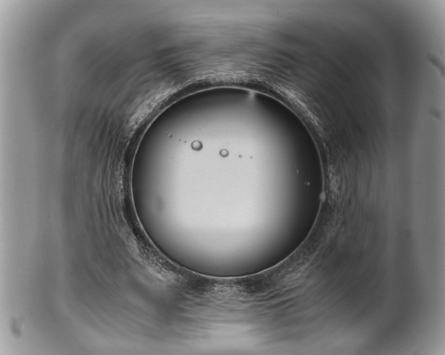 X0000102030487200807251354