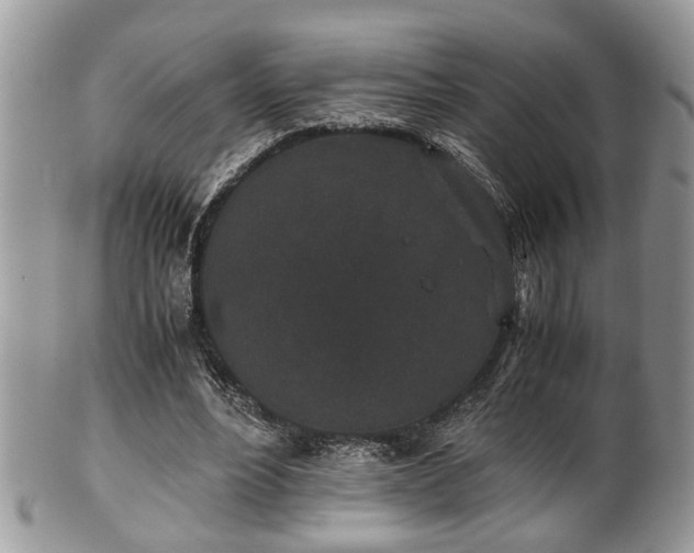 X0000102030488200807251354