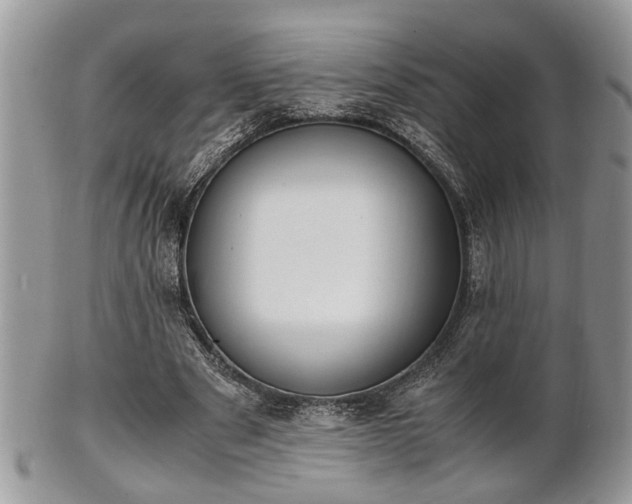 X0000102030489200807251354