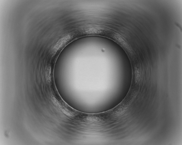 X0000102030490200807251354