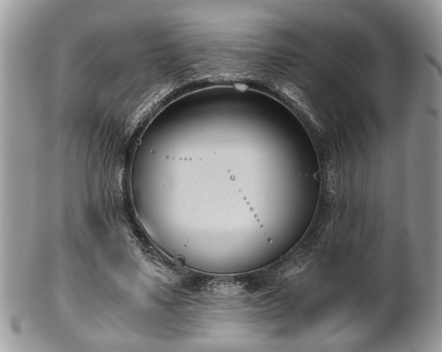 X0000102030491200807251354