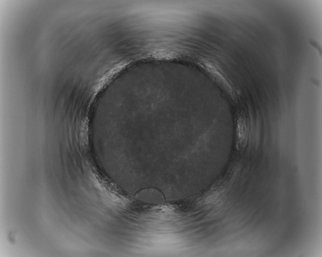 X0000102030492200807251354