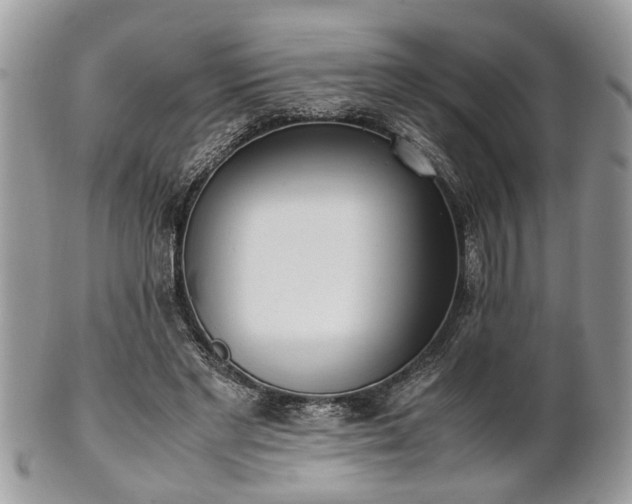 X0000102030493200807251354