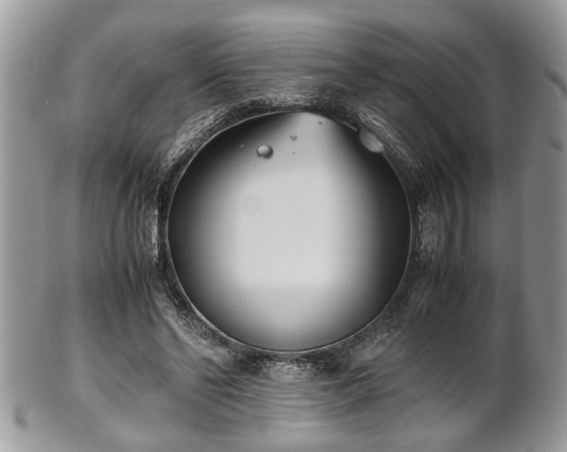 X0000102030494200807251354