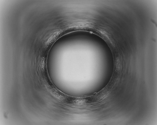 X0000102030495200807251354