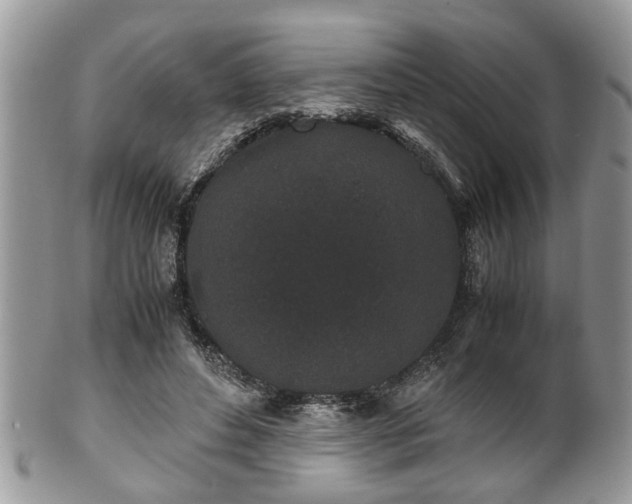 X0000102030496200807251354