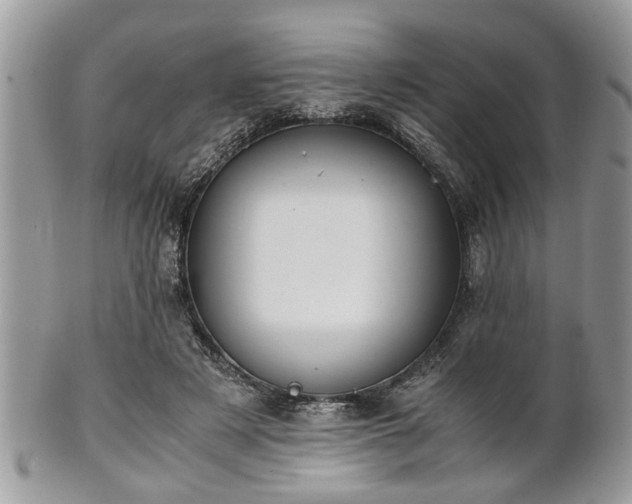 X0000102030497200807251354