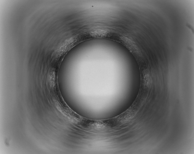 X0000102030498200807251354