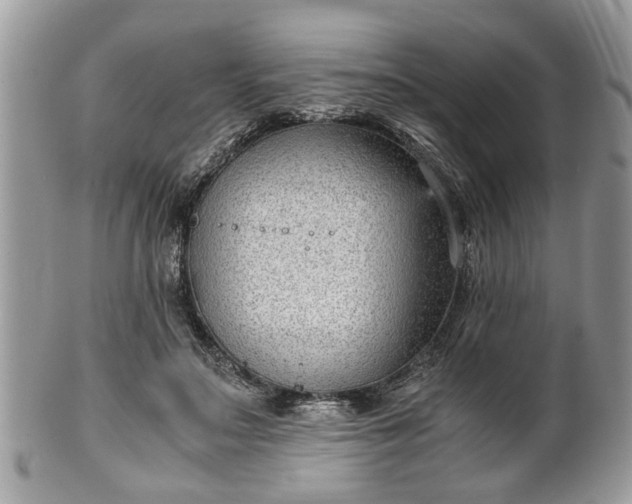 X0000102030499200807251354