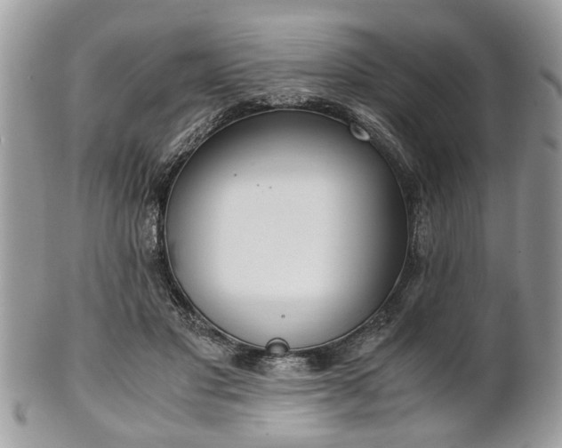 X0000102030501200807251354