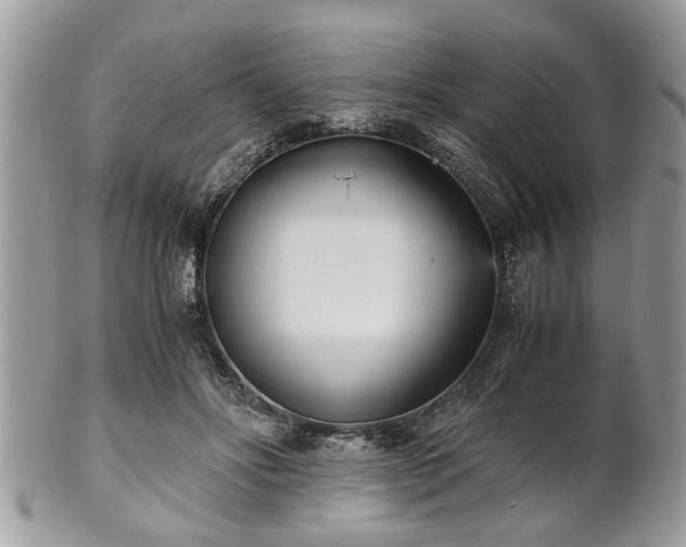 X0000102030502200807251354