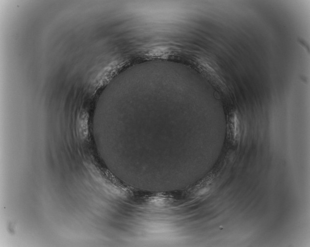 X0000102030504200807251354