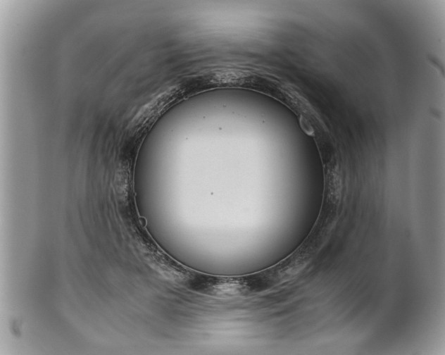 X0000102030505200807251354