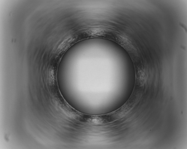 X0000102030506200807251354