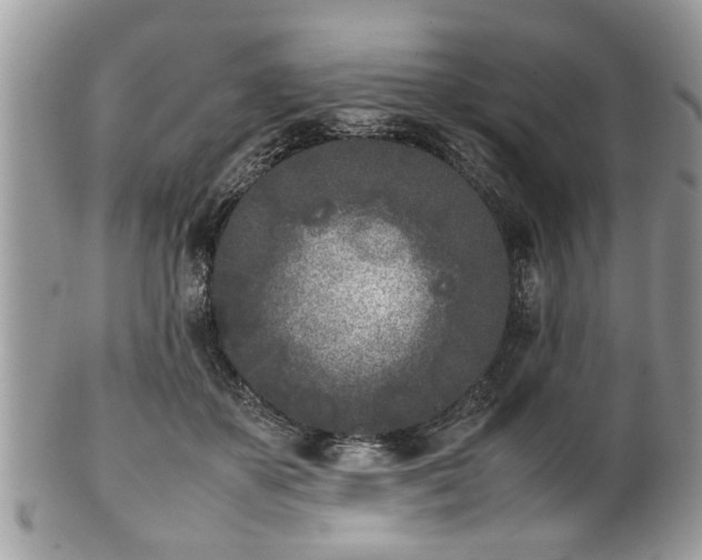 X0000102030507200807251354