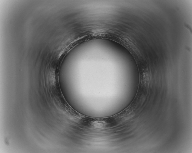 X0000102030508200807251354