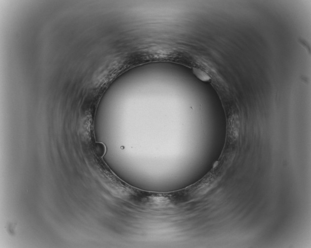 X0000102030509200807251354