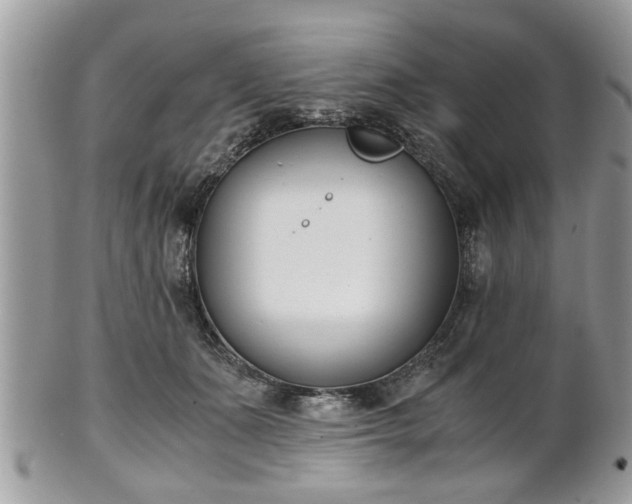 X0000102030511200807251354