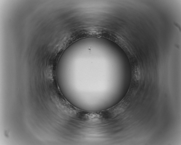 X0000102030512200807251354