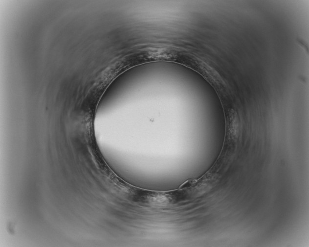 X0000102030513200807251354