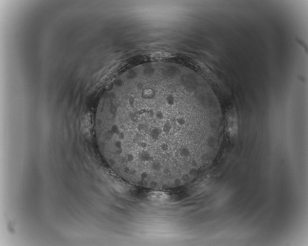 X0000102030519200807251354