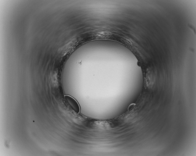 X0000102030520200807251354