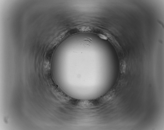 X0000102030521200807251354