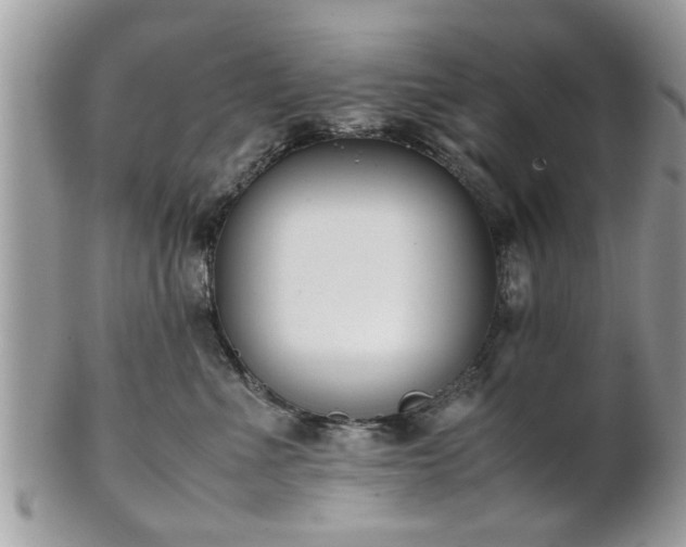 X0000102030523200807251354