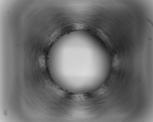 X0000102030524200807251354