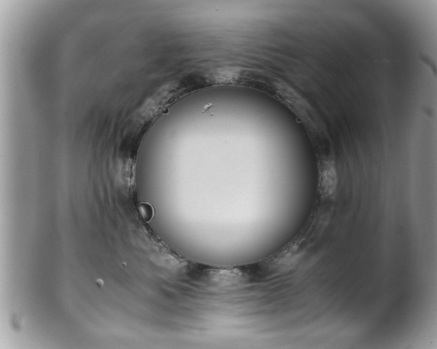 X0000102030525200807251354