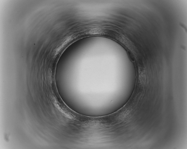 X0000102030530200807251353