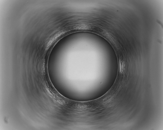 X0000102030531200807251353