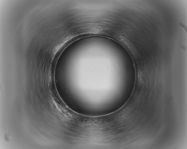 X0000102030532200807251353