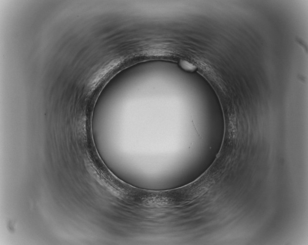 X0000102030535200807251353