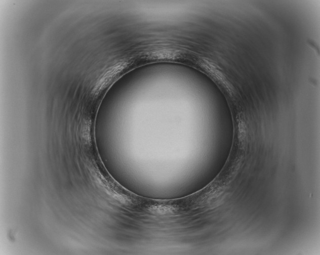 X0000102030537200807251353