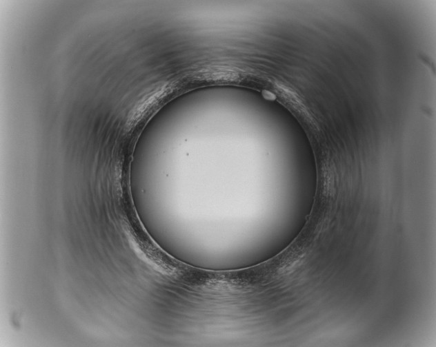 X0000102030538200807251353