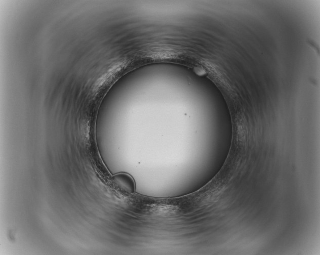 X0000102030539200807251353