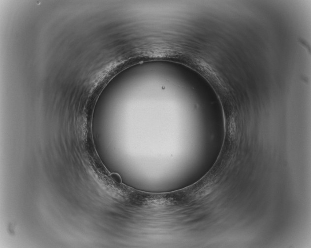 X0000102030540200807251353