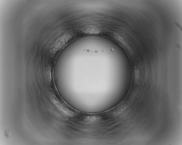 X0000102030541200807251353