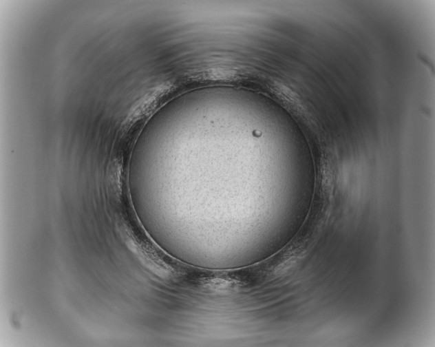 X0000102030542200807251353