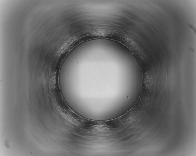 X0000102030544200807251353