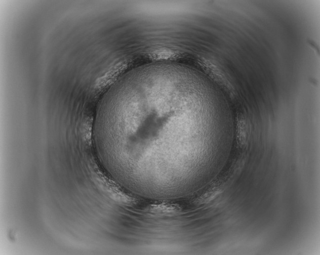 X0000102030545200807251353