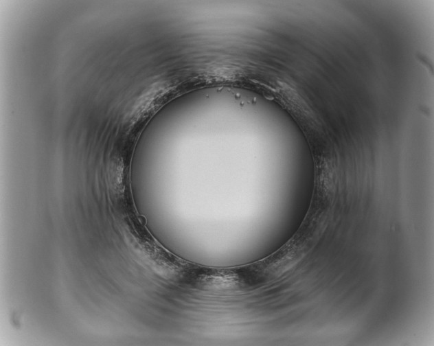 X0000102030548200807251353