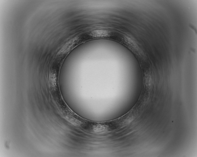 X0000102030549200807251353