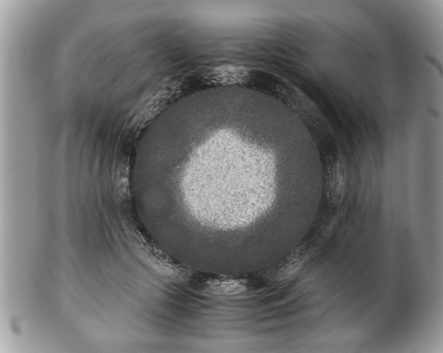 X0000102030553200807251353